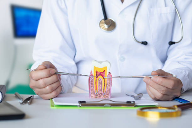 Best Emergency Tooth Extraction in Oak Leaf, TX